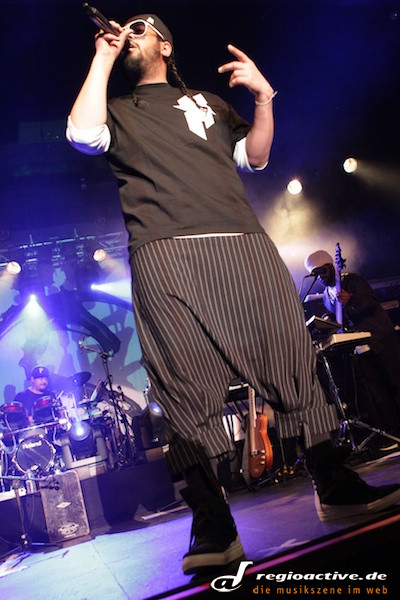Samy Deluxe (live in Hamburg, 2012)